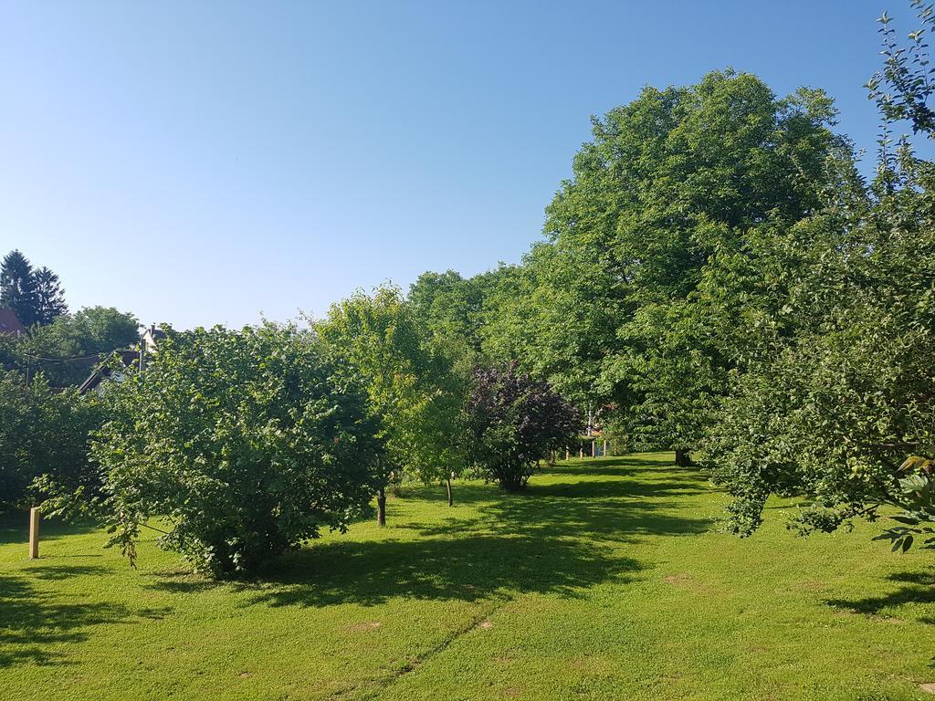 House Wisteria Villa Rakovica Buitenkant foto
