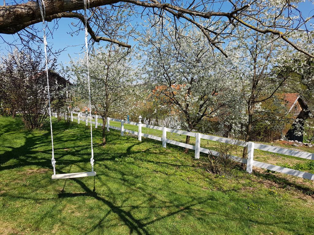 House Wisteria Villa Rakovica Buitenkant foto